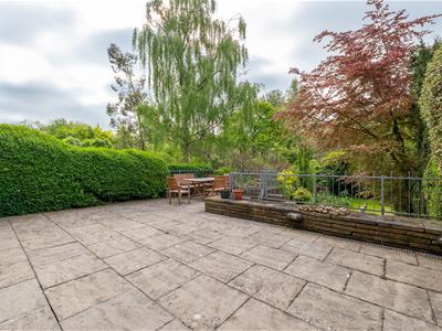 Picture 30